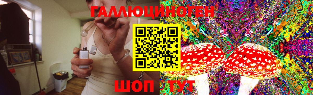 Галлюциногенные грибы MAGIC MUSHROOMS Советская Гавань