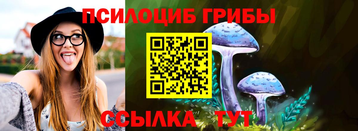 Советская Гавань  Псилоцибиновые грибы GOLDEN TEACHER  Вход с VPN 